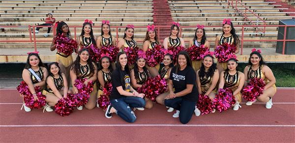A photo showing the Tigerette Dance Team in the pink accented uniforms.